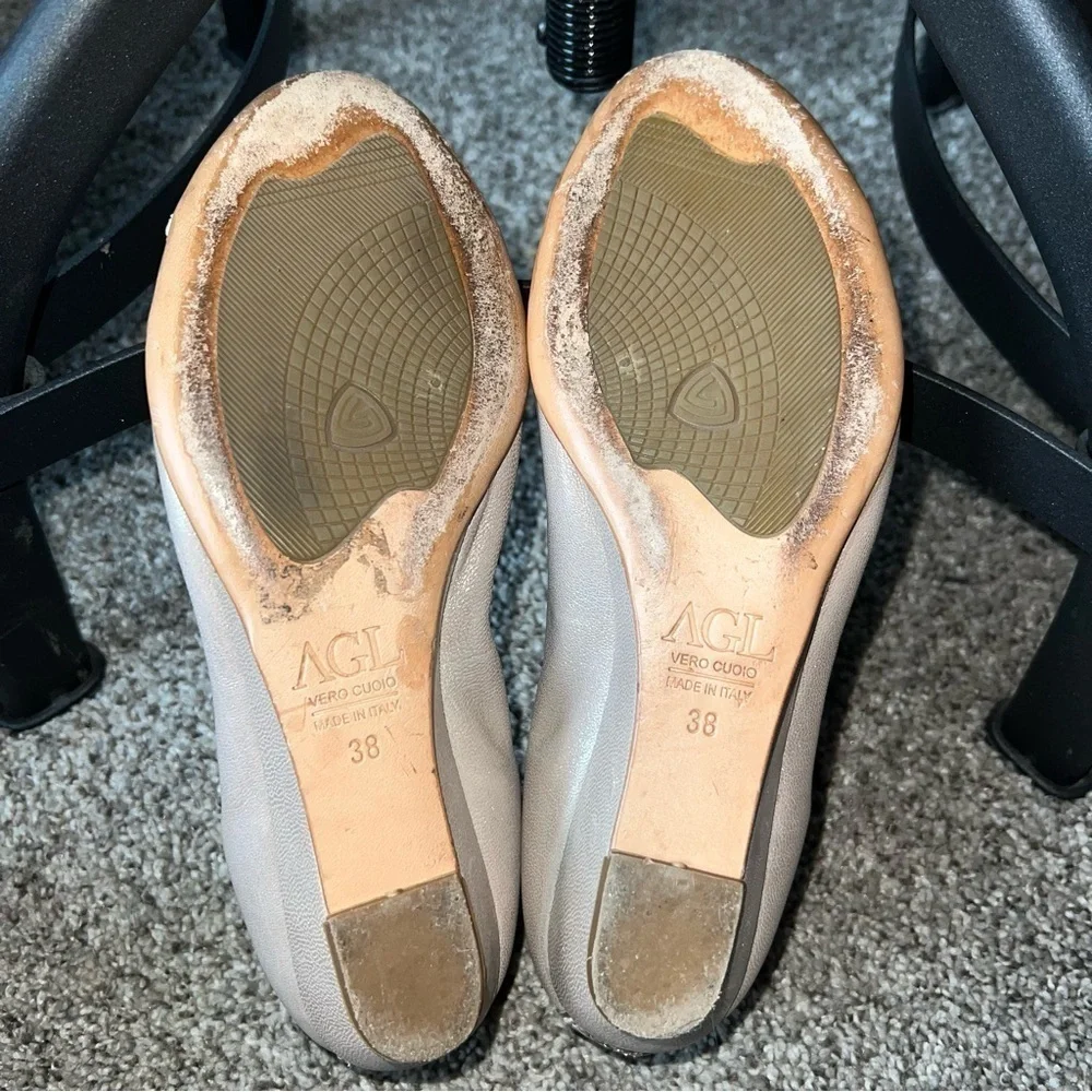 AGL Attilio Giusti Leombruni Wedge Pump